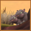 Hippo Mud Slide