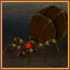Spider Caverns