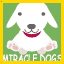 Miracle Dogs