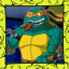 Michelangelo Challenge Complete