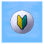 Beginner's Ball