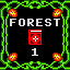 Find the Forest's Secrets