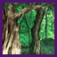 Forgotten Forest