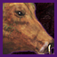 Colossal Bovine