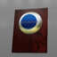Rookie Shield