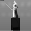 Notable Trophy