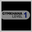 Stage 1 Gymkhana CA