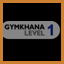 Stage 1 Gymkhana TA