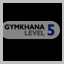 Stage 5 Gymkhana CA