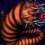 Your Very Own Earwig