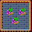 Grapes 1