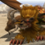 Chimera