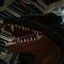Shadow Dragon