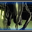 Speedy Xenomorph