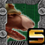 Top Dog