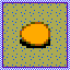 Sprout