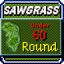 Sawgrass Master