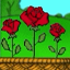 Red Roses Too!