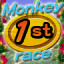 Real Racer