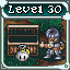 Level 30