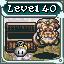 Level 40