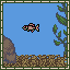 Killfish