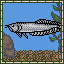 Arowana