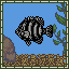 Striped Beakfish