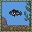 False Kelpfish