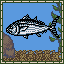 Skipjack Tuna