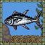 Yellowfin Tuna