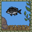 Black Porgy