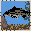 Carp