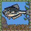 Nursery Fish