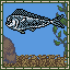 Dolphinfish