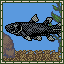 Coelacanth