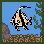 Moorish Idol