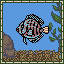 Discus