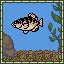 Archerfish