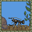 Freshwater Prawn