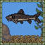 Barbel