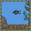 Neon Tetra