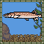 Pike