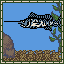 Sailfish