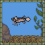 Butterfly Fish