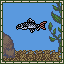 Red-tail Shark