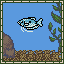 Gourami
