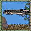 Lungfish