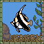 Threeband Penantfish