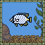 Chevron Butterflyfish